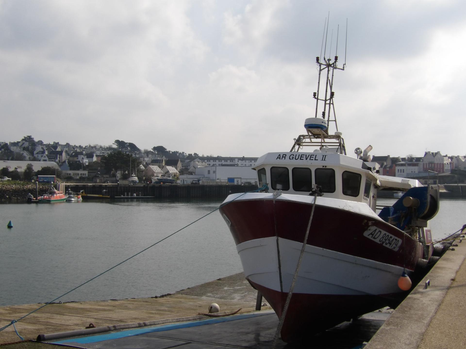 250317 ar guevel ii cale