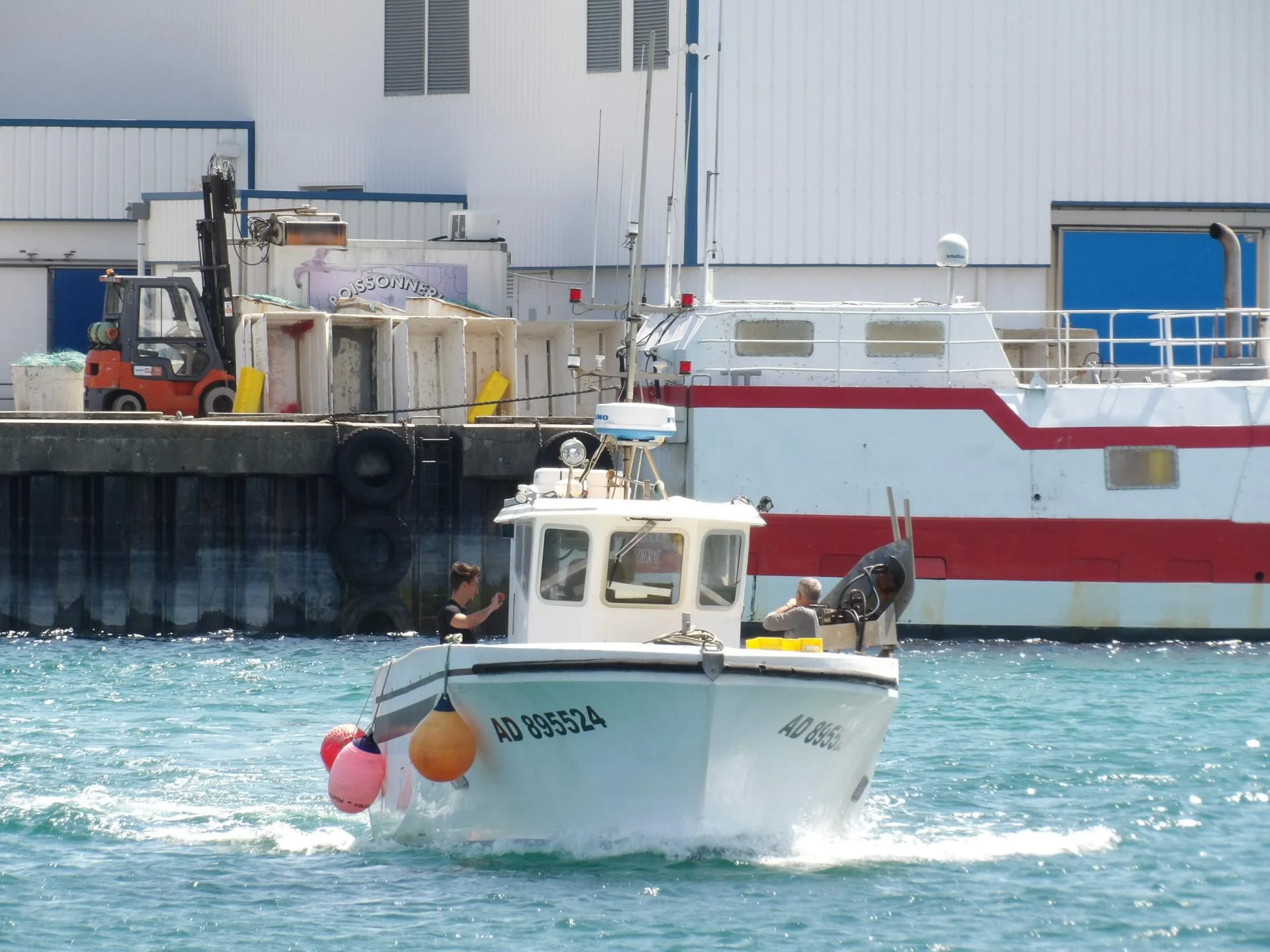 260725 l avenir du mousse port e